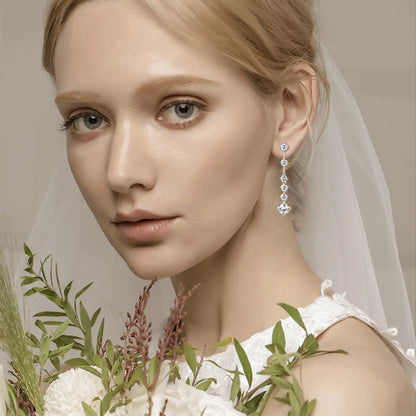 4-carat Morganite Earrings, Luxury High-end Earrings